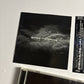 Within Temptation – The Silent Force (CD + DVD, 2006) RRCY-29107 Japan Obi, DVD