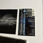 Within Temptation – The Silent Force (CD + DVD, 2006) RRCY-29107 Japan Obi, DVD