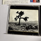 U2 – The Joshua Tree (CD, 1992) phcr-1706 Japan obi