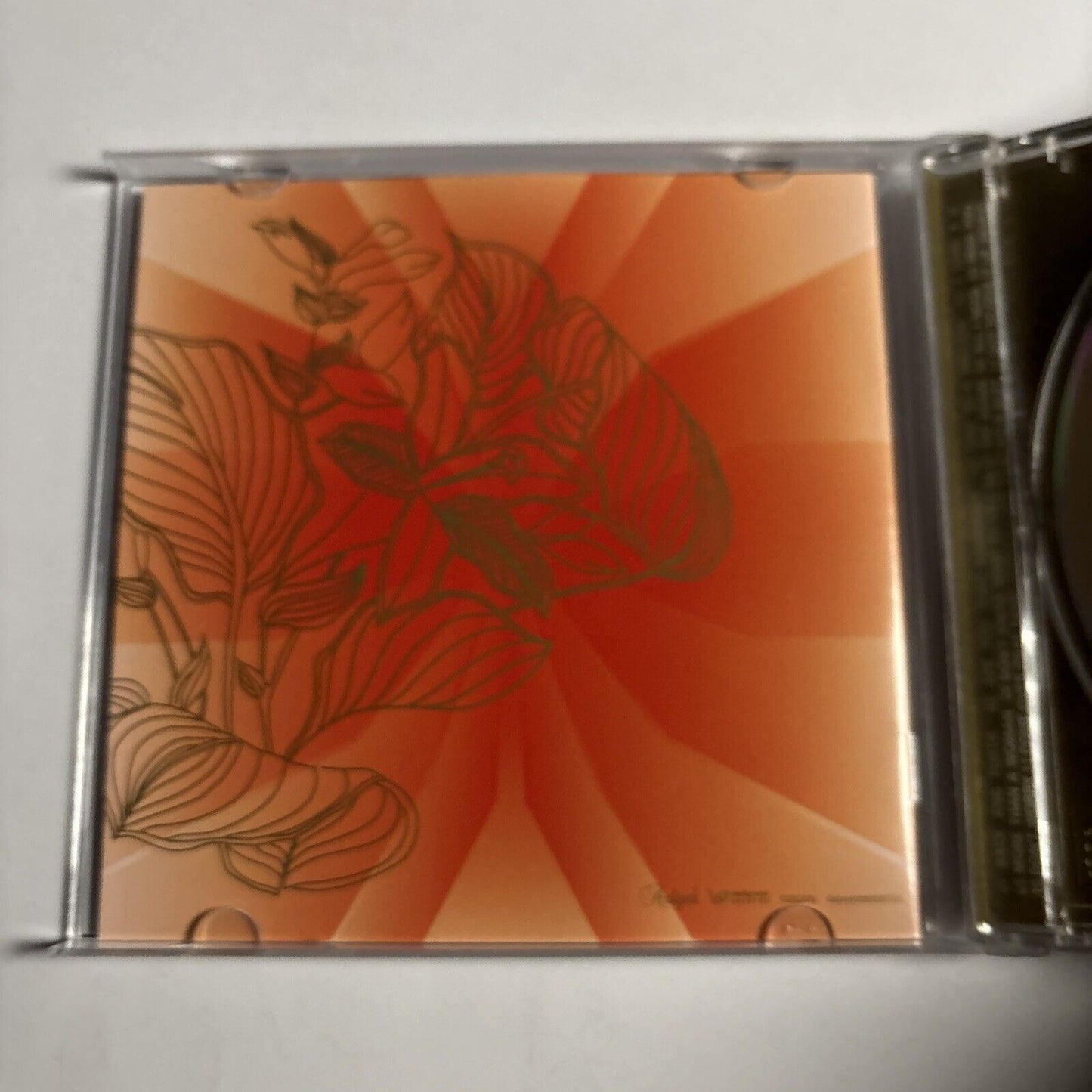 Aaliyah – I Care 4 You (CD, 2002)