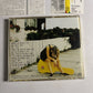 Julia Fordham – East West (CD, 1997) vjcp-25304 Japan Bonus Track, Obi