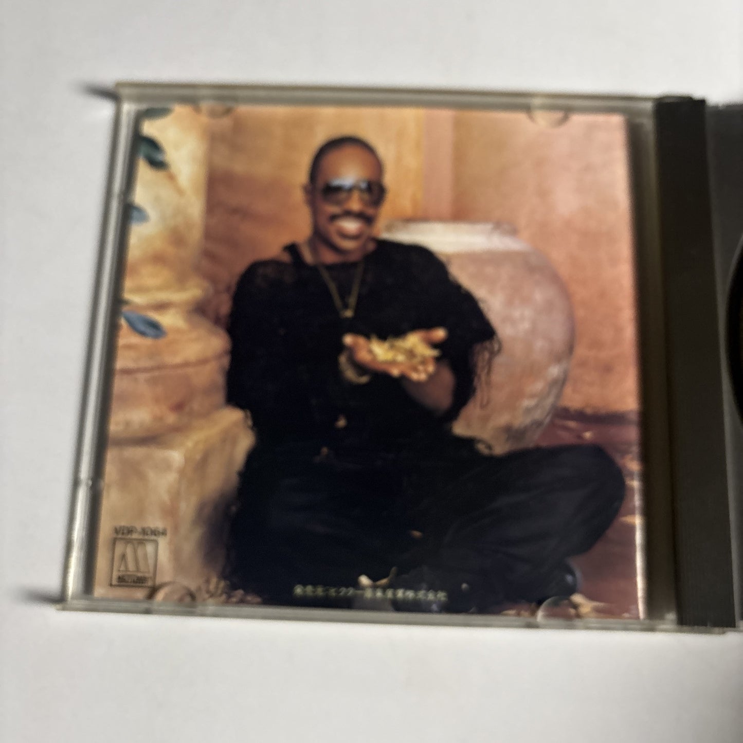 Stevie Wonder – In Square Circle (CD, 1985) VDP-1064