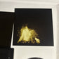 Wolf Alice – My Love Is Cool (CD, 2015) Japan Bonus Track DH00089