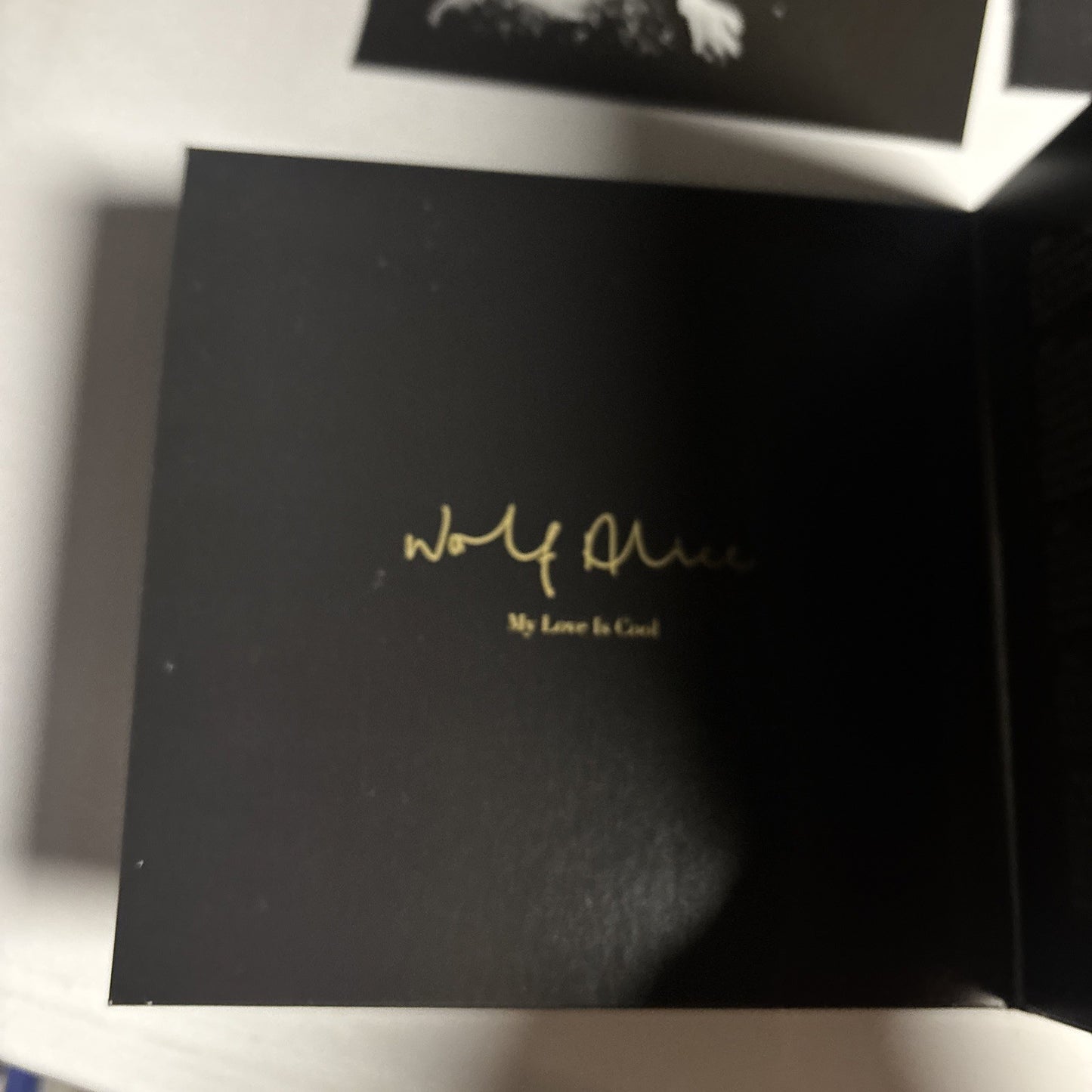 Wolf Alice – My Love Is Cool (CD, 2015) Japan Bonus Track DH00089