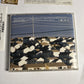 Desaparecidos – Read Music, Speak Spanish (CD, 2002) Japan BNCP-82 Obi