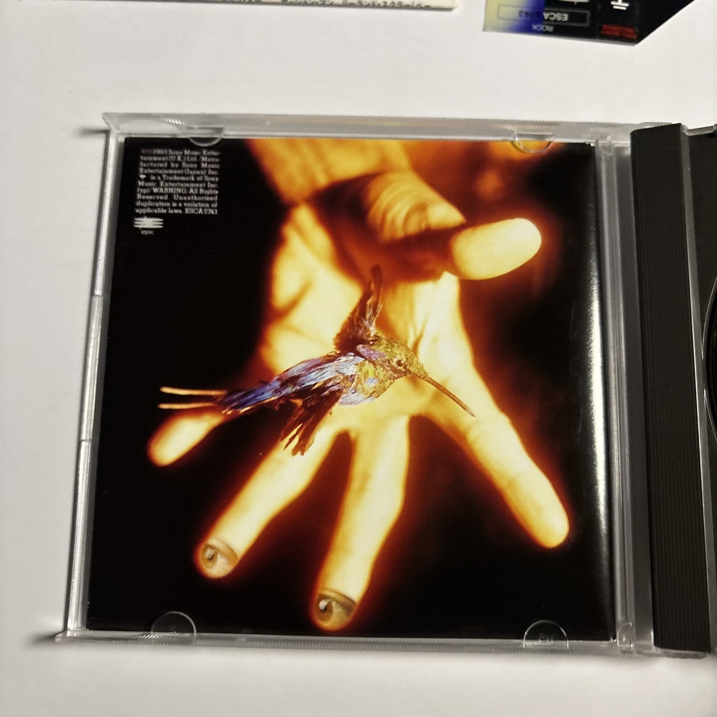 Terence Trent D'Arby's Symphony Or Damn (CD, 1993) Japan ESCA 5743 Obi