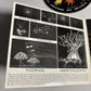 Radiohead – The King Of Limbs (CD, 2011) Europe digipak TICK001CD