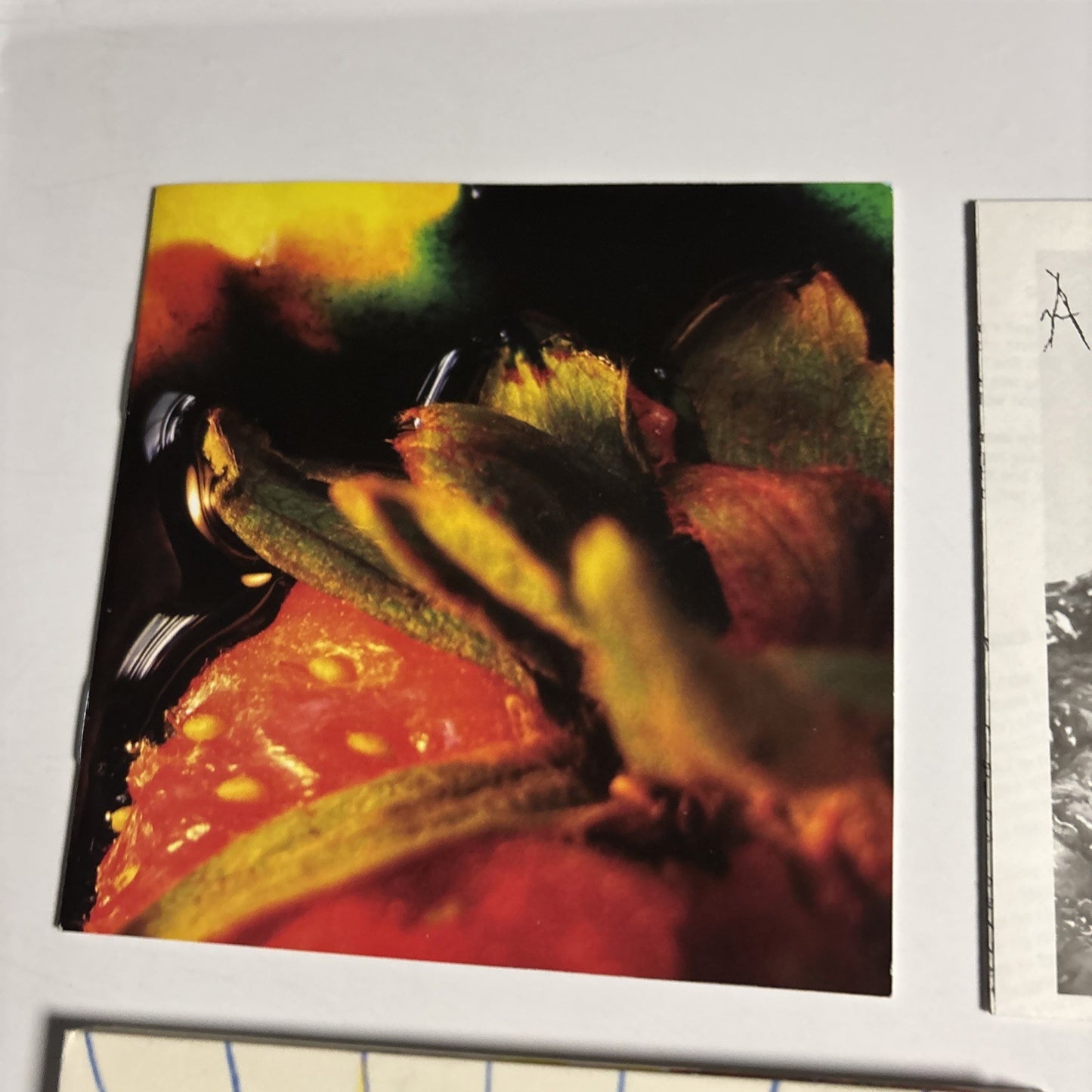 Animal Collective – Strawberry Jam (CD, 2007) Europe Digipak WIGCD199