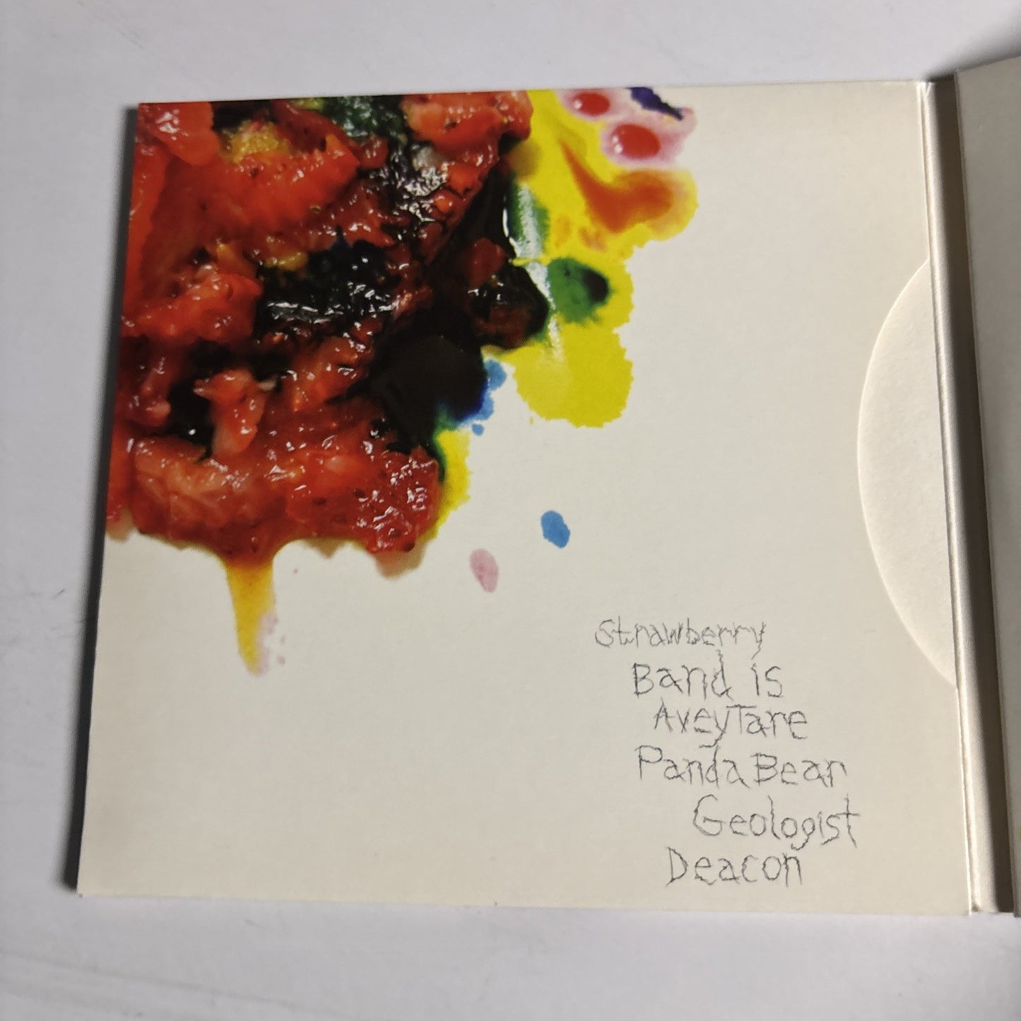 Animal Collective – Strawberry Jam (CD, 2007) Europe Digipak WIGCD199