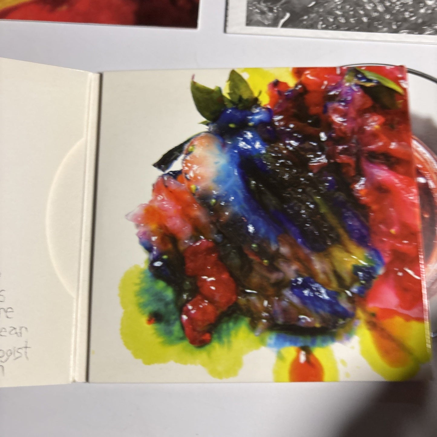 Animal Collective – Strawberry Jam (CD, 2007) Europe Digipak WIGCD199