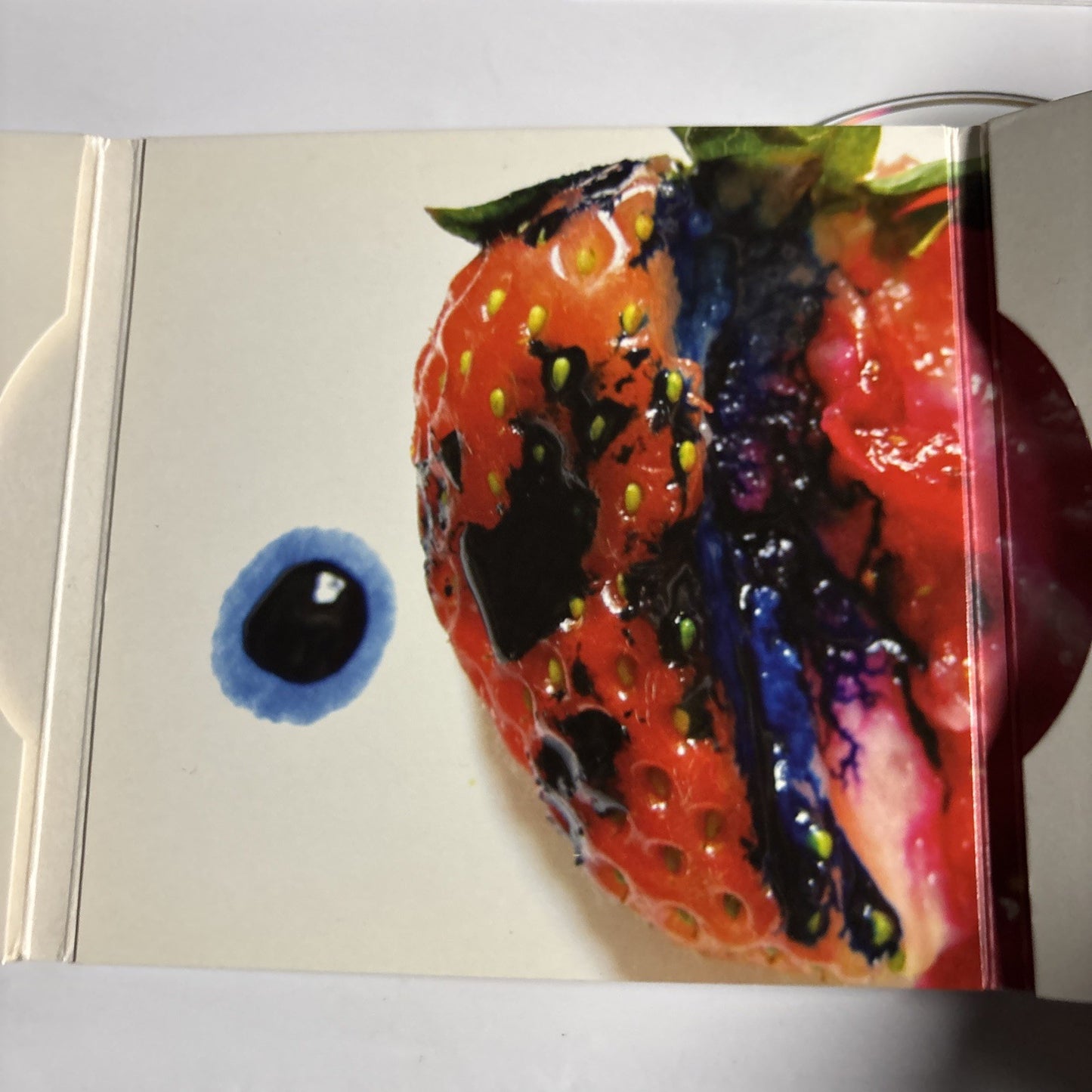 Animal Collective – Strawberry Jam (CD, 2007) Europe Digipak WIGCD199