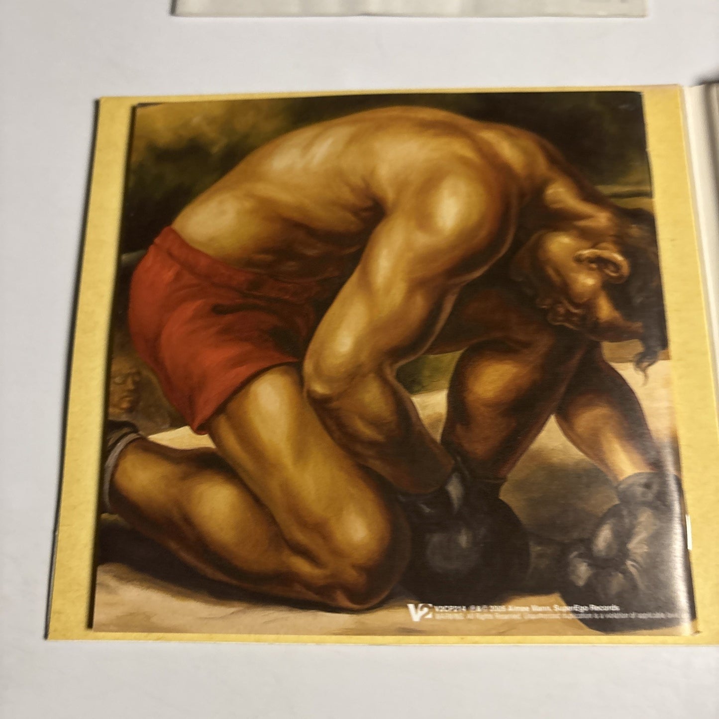 Aimee Mann – The Forgotten Arm (CD, 2005) Japan Bonus Track V2CP 214