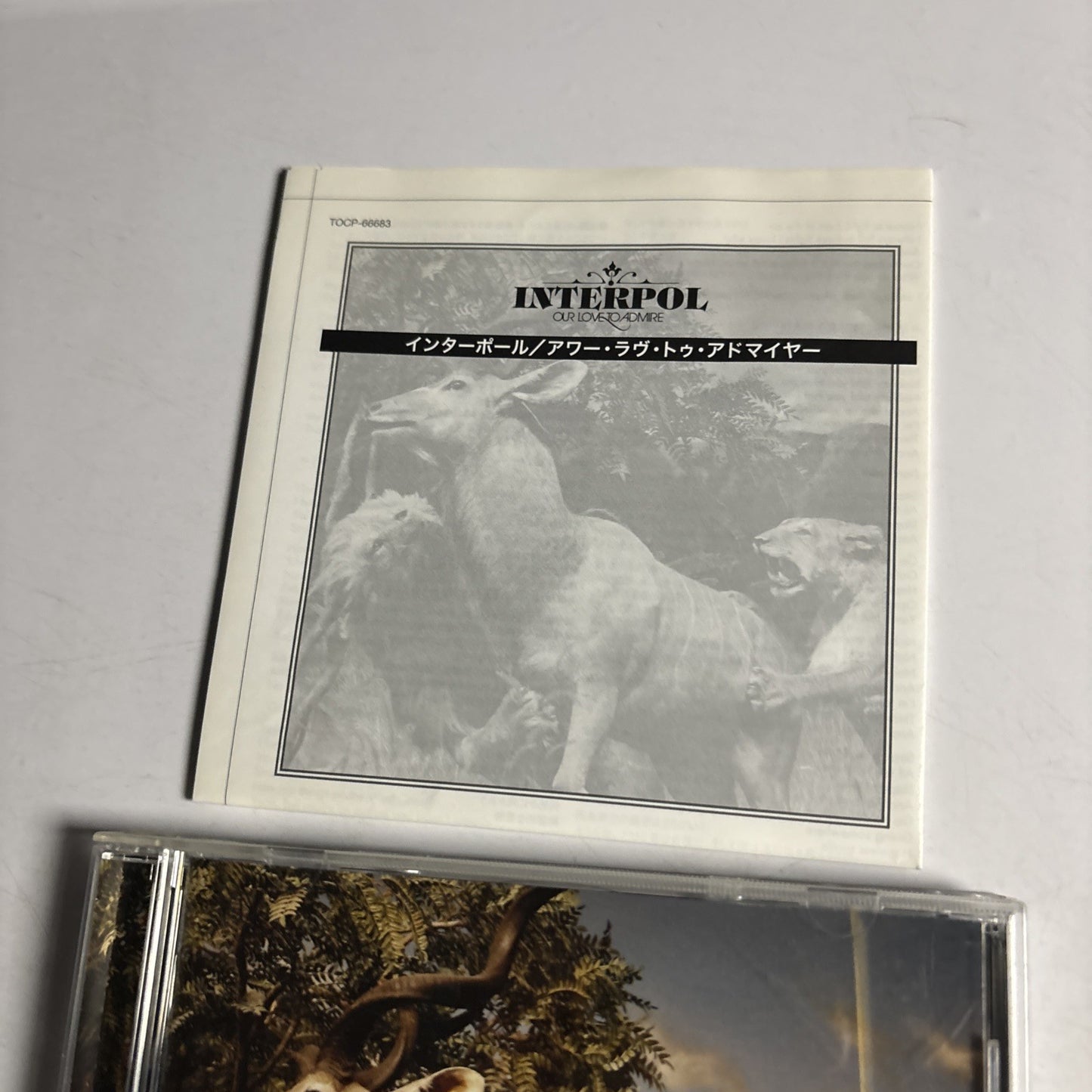 Interpol – Our Love To Admire (CD, 2007) Japan Bonus Track TOCP-66683