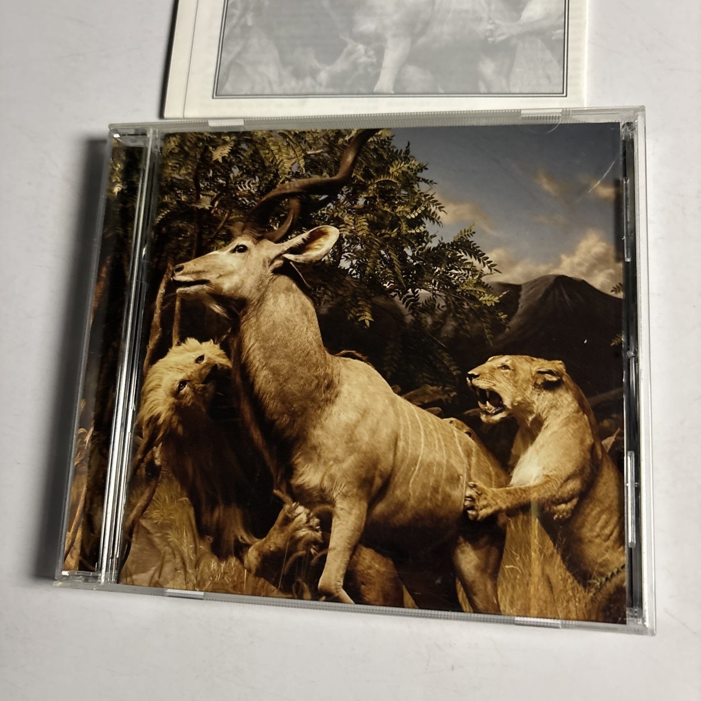 Interpol – Our Love To Admire (CD, 2007) Japan Bonus Track TOCP-66683