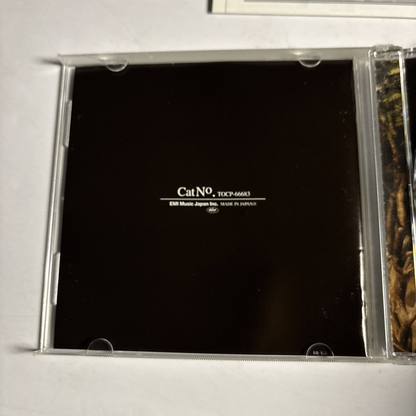 Interpol – Our Love To Admire (CD, 2007) Japan Bonus Track TOCP-66683