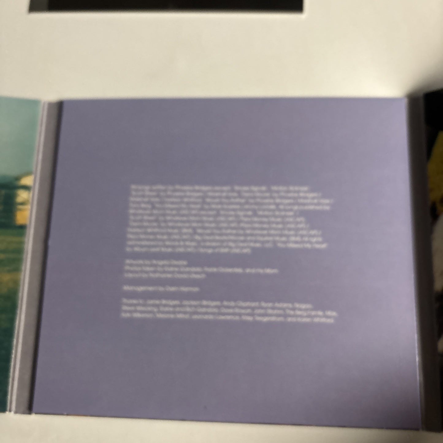 Phoebe Bridgers – Stranger In The Alps (CD, 2017) US DOC142