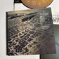 Fleet Foxes – Shore (CD, 2021) Japan STCD-0001