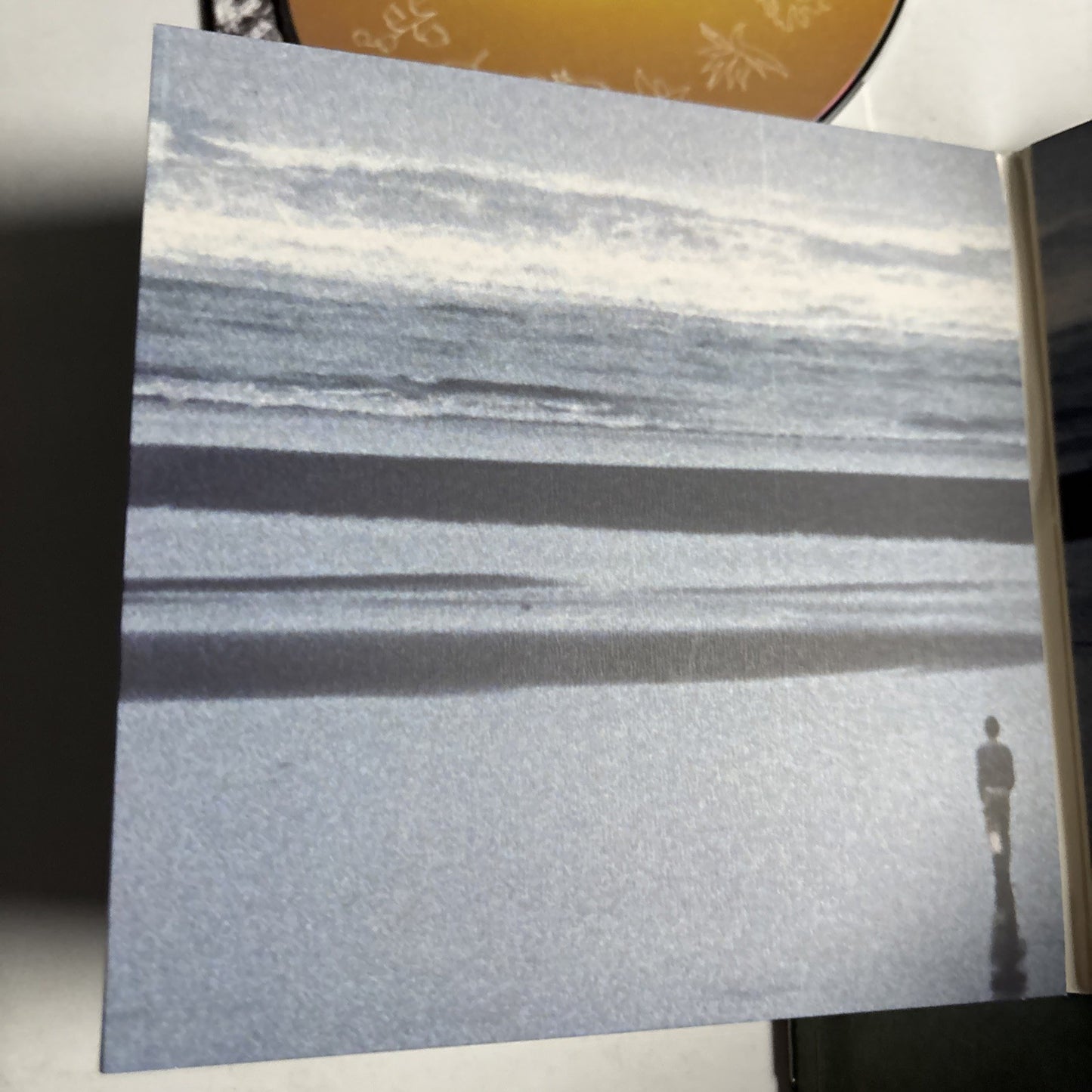 Fleet Foxes – Shore (CD, 2021) Japan STCD-0001