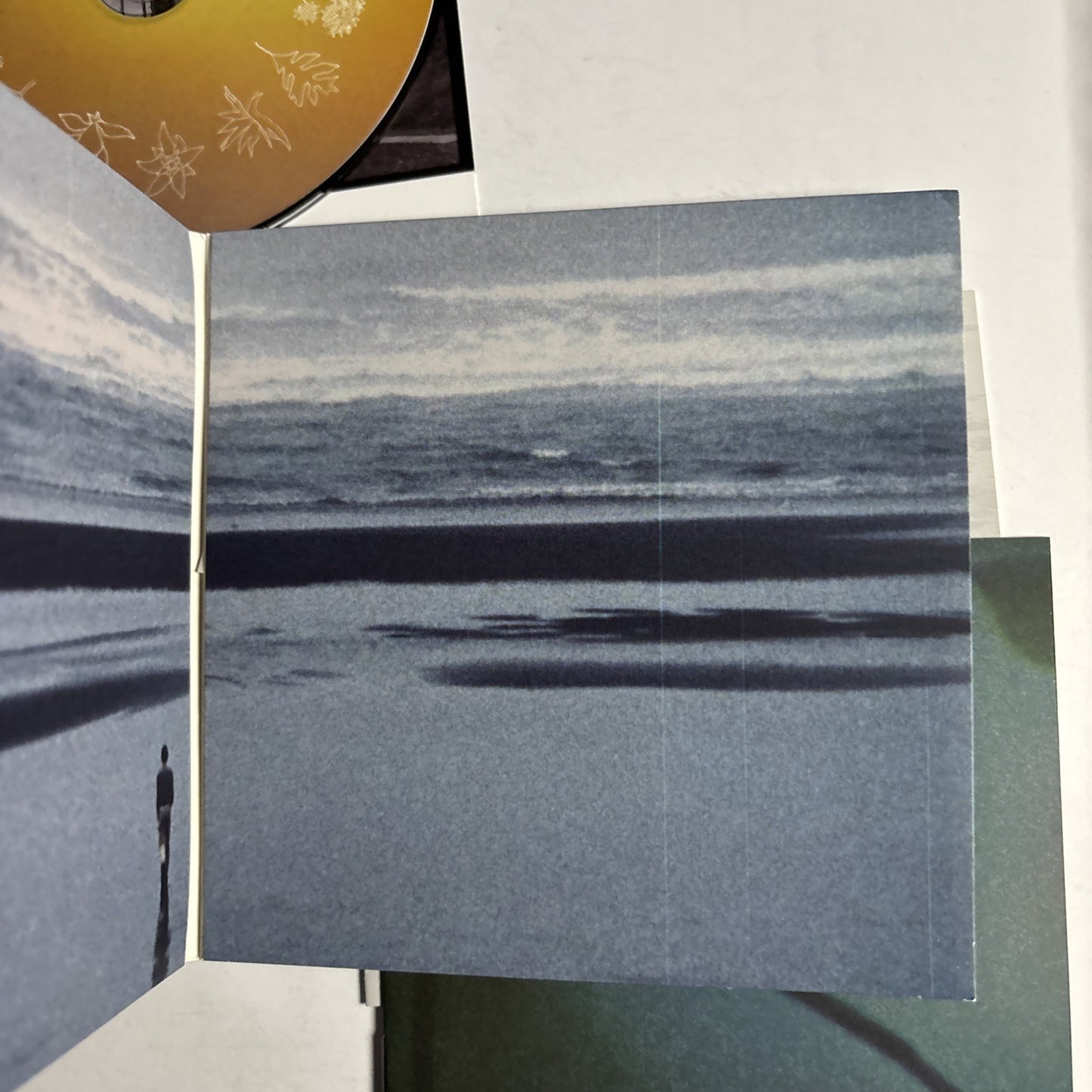 Fleet Foxes – Shore (CD, 2021) Japan STCD-0001