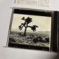U2 – The Joshua Tree  (CD, 1989) Japan P24D-10053