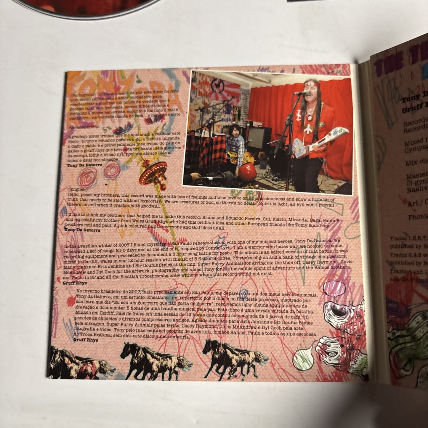 Gruff Rhys, Tony Da Gatorra – The Terror Of Cosmic Loneliness (CD, 2010) UK