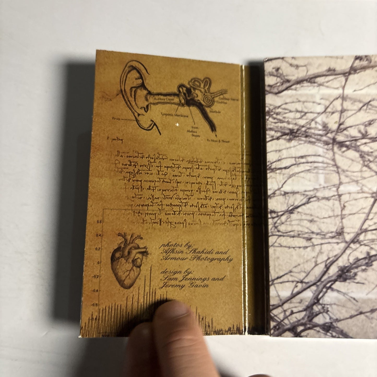 Prince – Musicology (CD, 2004) Indonesia digipak 517165.2