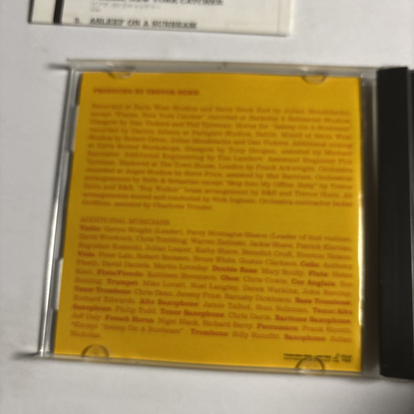 Belle & Sebastian – Dear Catastrophe Waitress (CD, 2003) Japan TOCP-66220