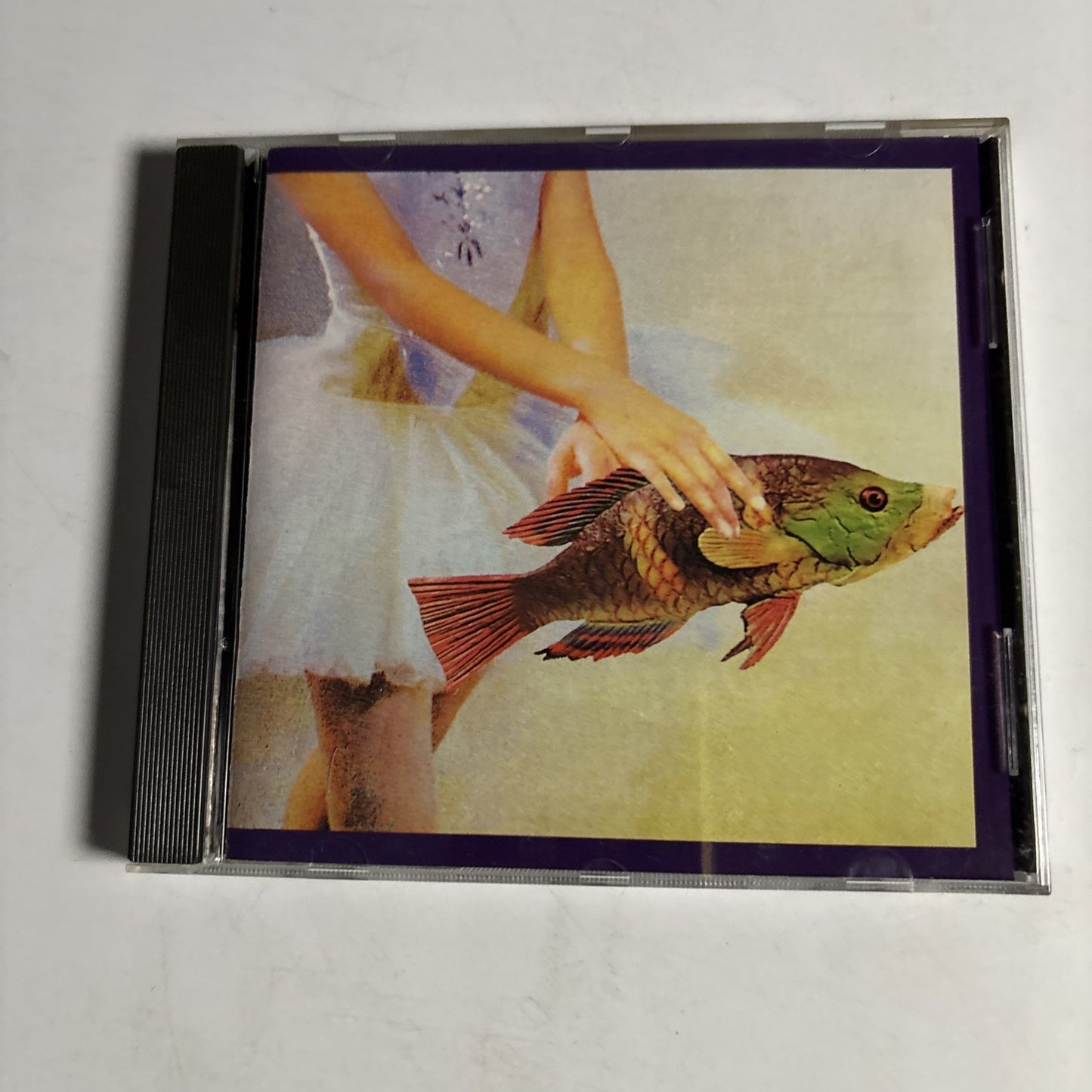 Chris Burke – Idioglossia (CD, 1989) US 01