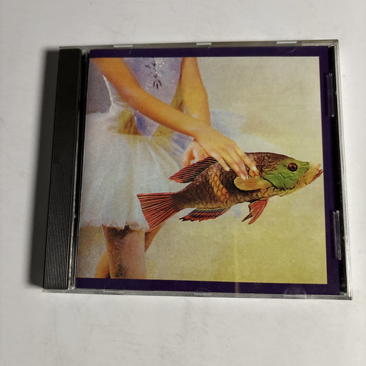 Chris Burke – Idioglossia (CD, 1989) US 01