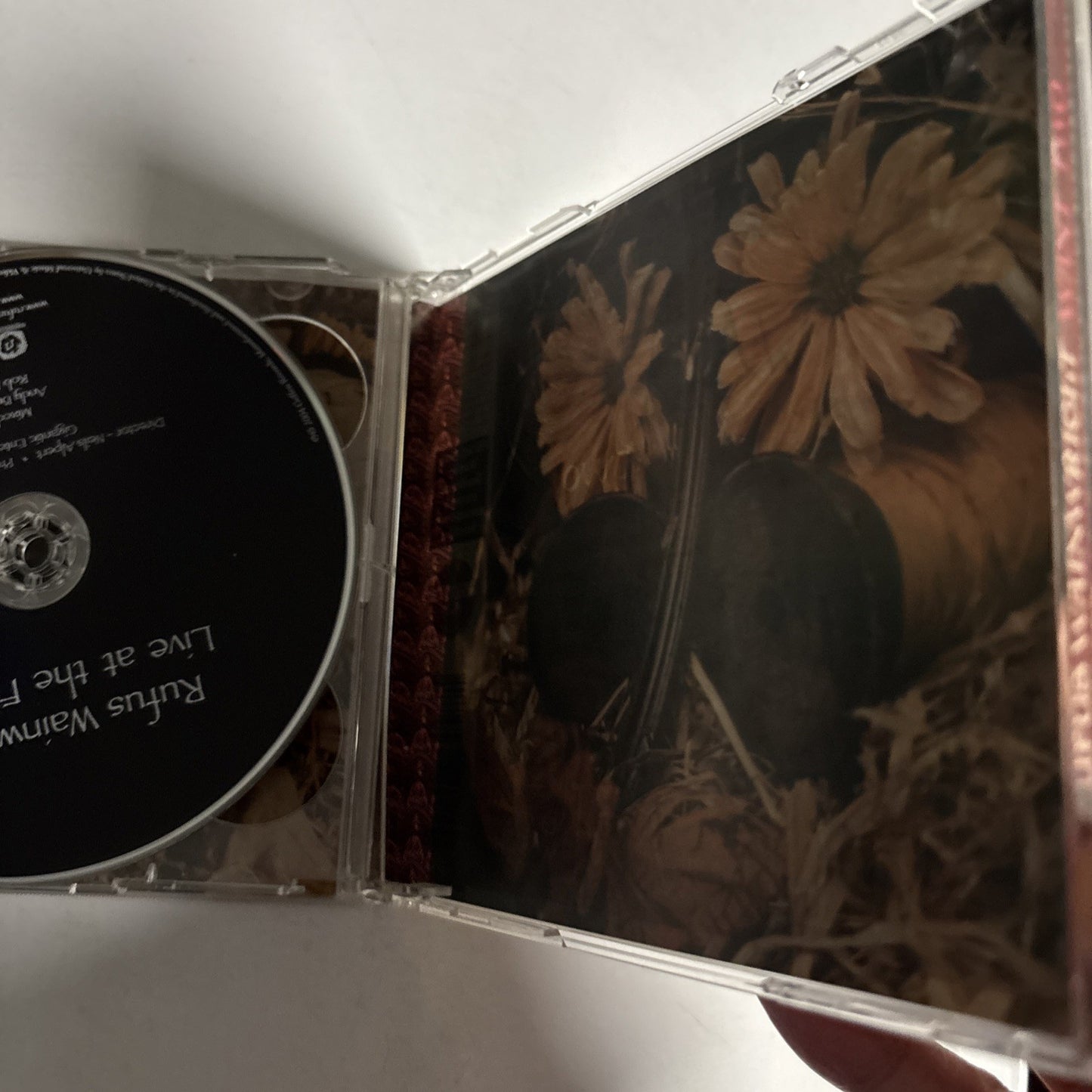 Rufus Wainwright – Want Two (CD + DVD, 2004) US DVD B0003716-00