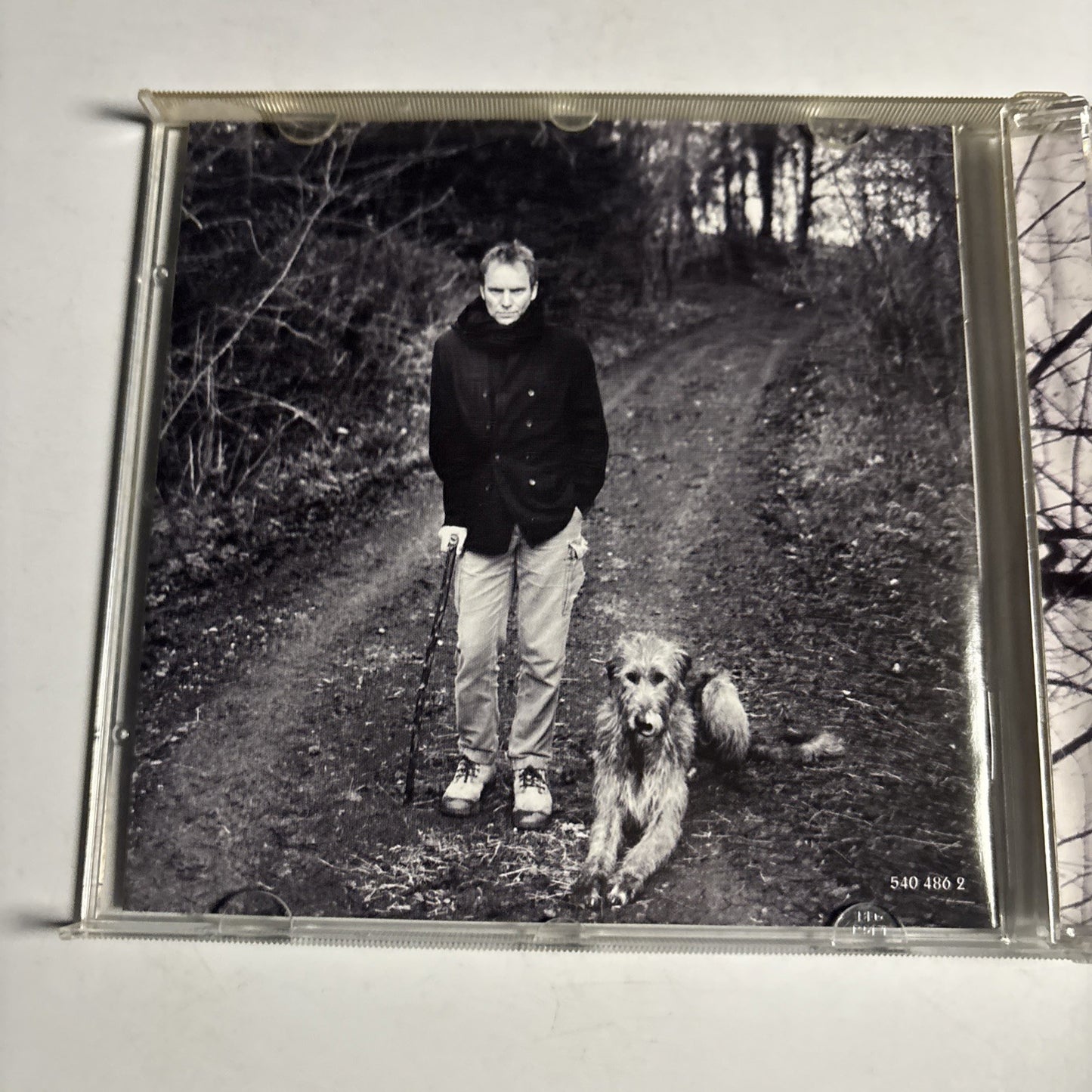 Sting – Mercury Falling (CD, 1996) Europe 540 486 2