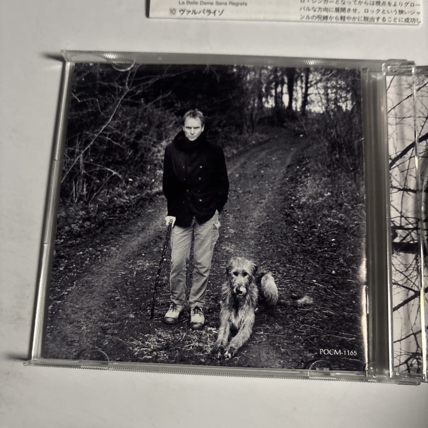 Sting – Mercury Falling (CD, 1996) Japan POCM-1165