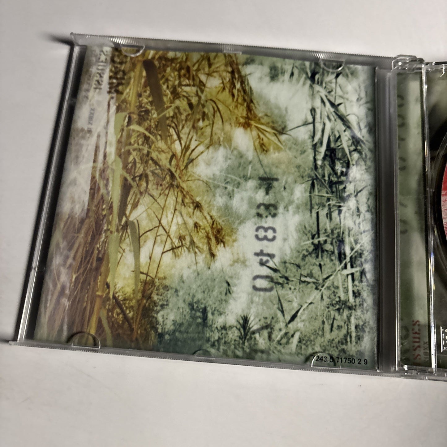 Mr. G – Issues (CD, 2004) US none