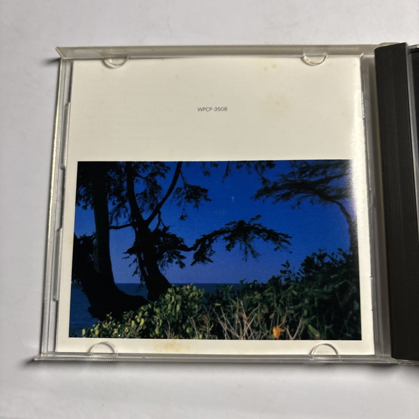 Michael McDonald – Take It To Heart (CD, 1990) Japan WPCP-3508