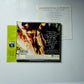 Cyndi Lauper – Sisters Of Avalon (CD, 1996) Japan obi ESCA 6584