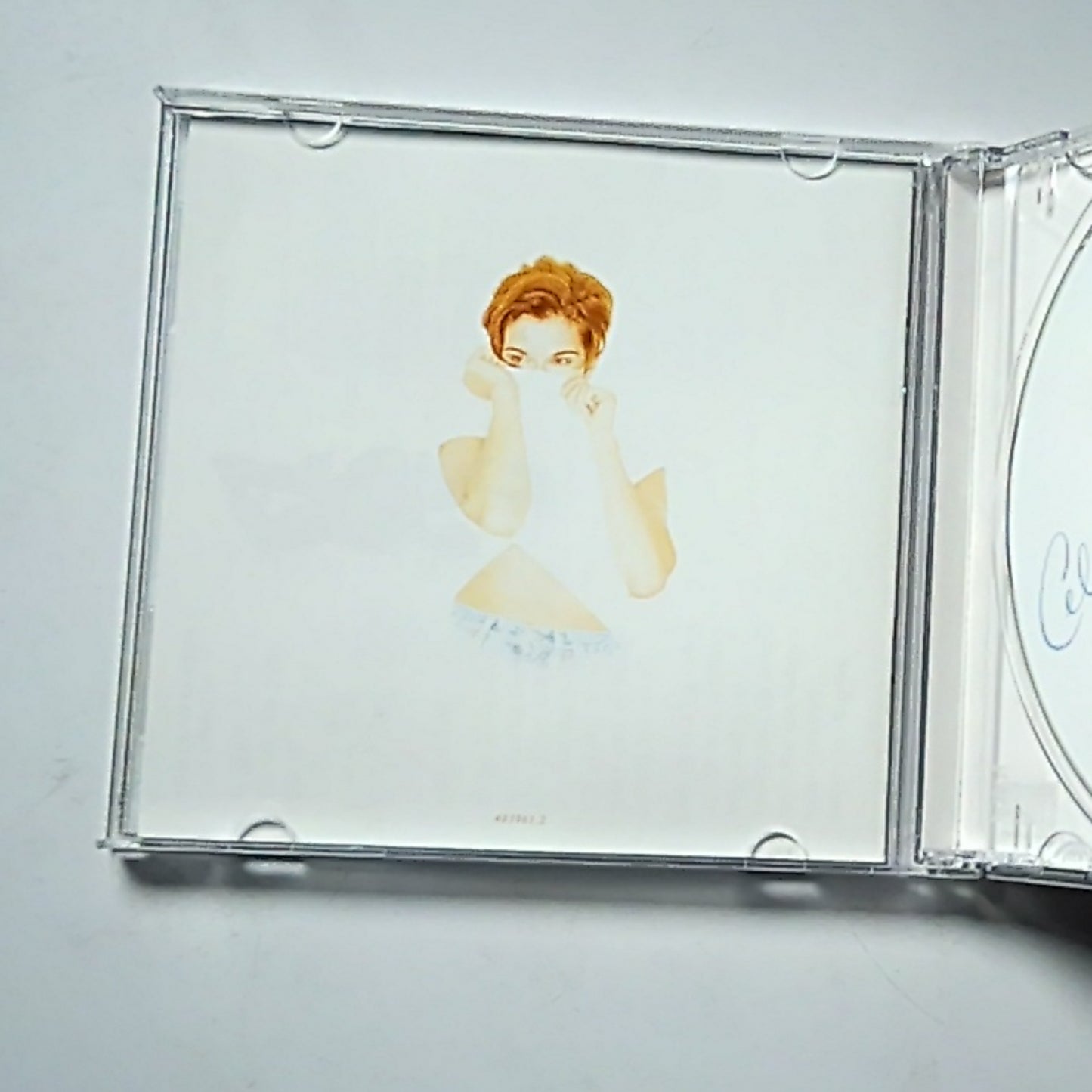 Céline Dion – Falling Into You (CD, 1996) Asia 483961.2