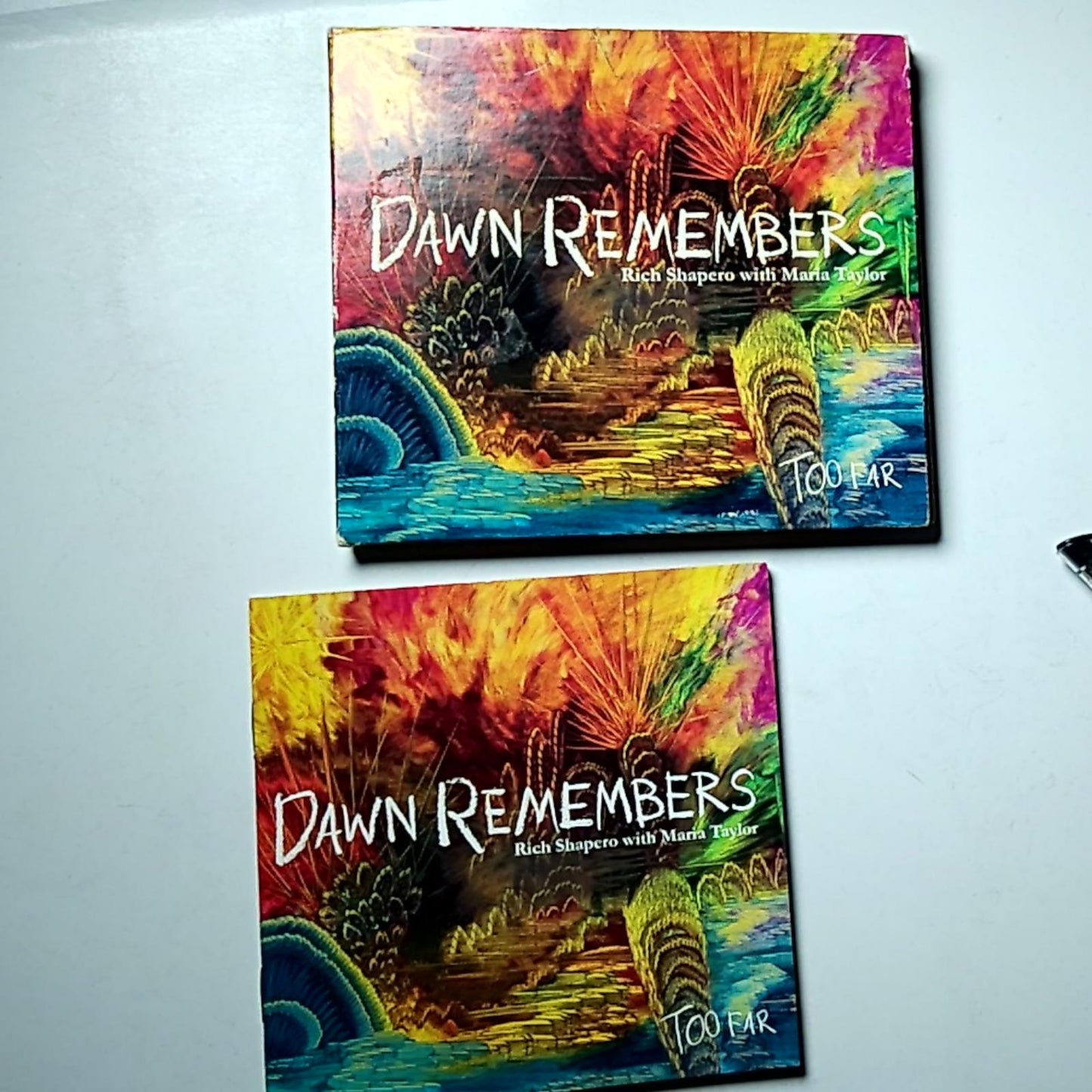 Rich Shapero, Maria Taylor – Dawn Remembers (CD, 2011) US none