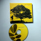 Jack Johnson – In Between Dreams (CD, 2005) US Digipak B0004149-02