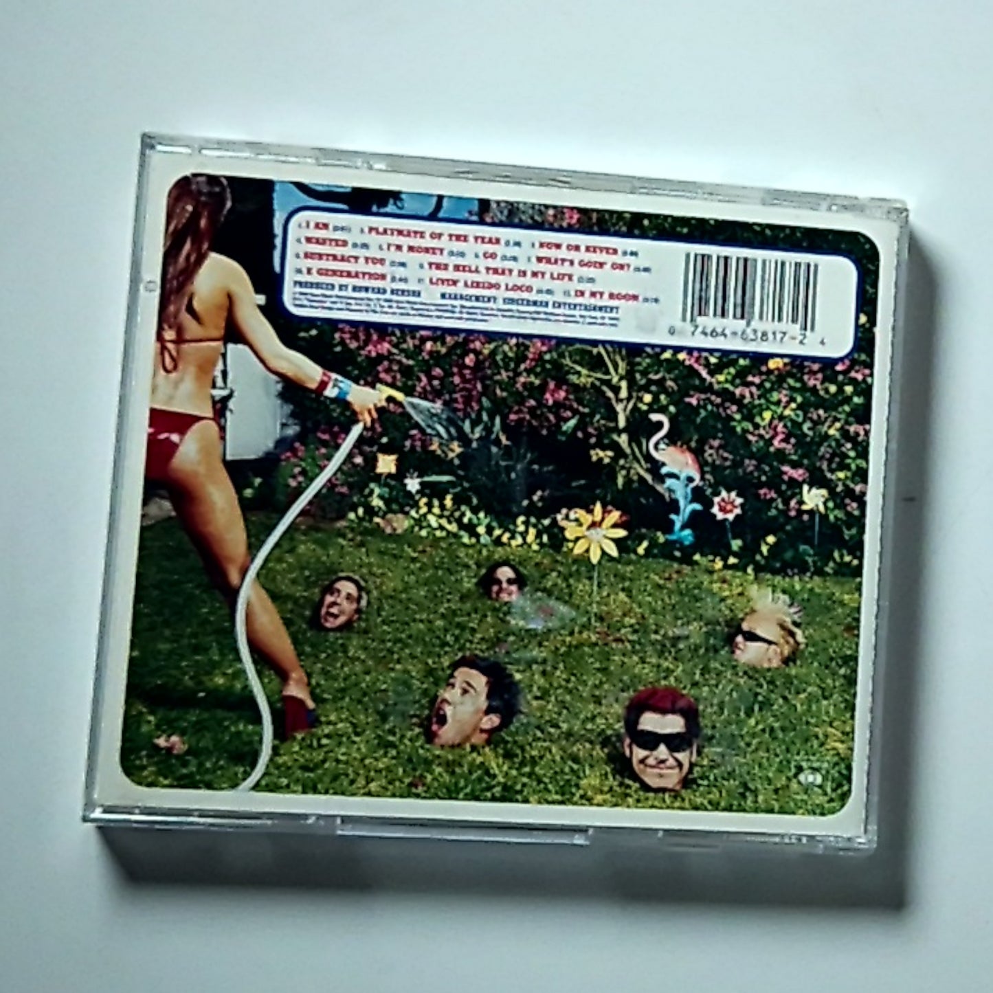 Zebrahead – Playmate Of The Year (CD, 2000) US CK 63817