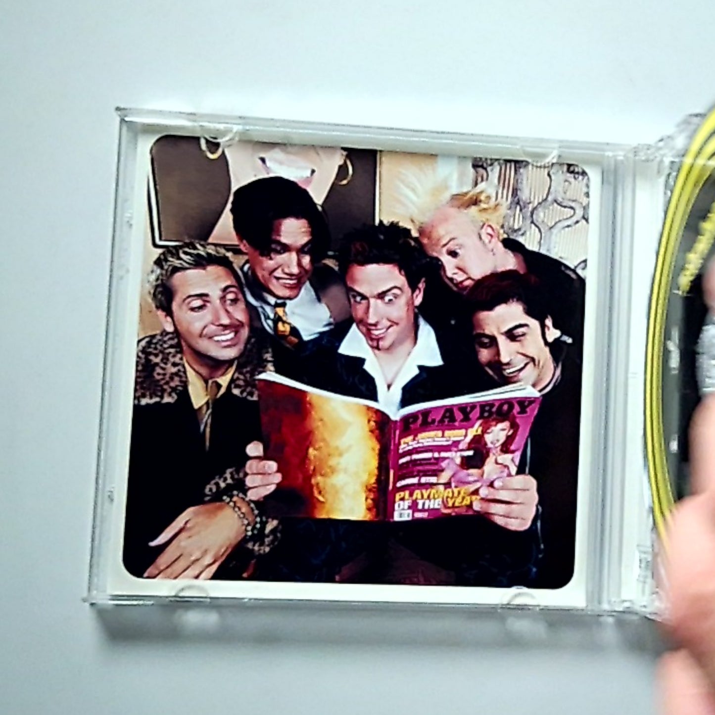 Zebrahead – Playmate Of The Year (CD, 2000) US CK 63817