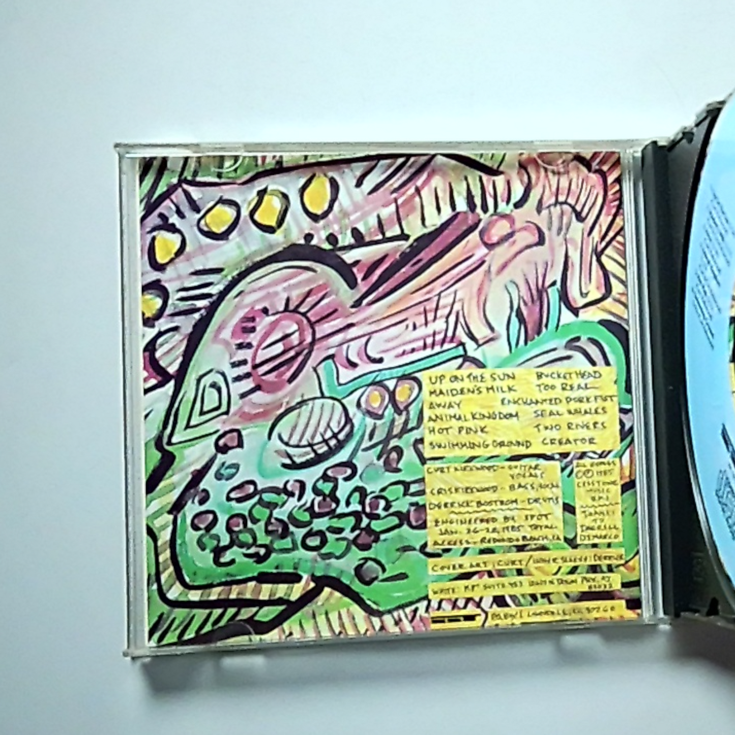Meat Puppets – Up On The Sun (CD, 1985) US SST-CD-039