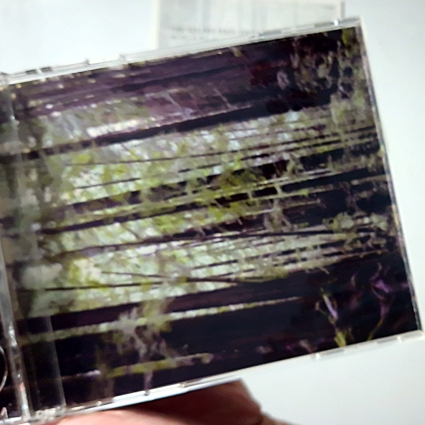 The Velvet Teen – Elysium (CD + DVD, 2004) Japan SLOW 019