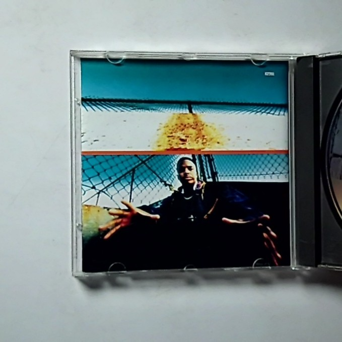Domino – Domino (CD, 1993) US OK 57701