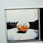 The Corrs – Forgiven, Not Forgotten (CD, 1995) Australia 7567926122