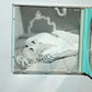 Madonna – Bedtime Stories (CD, 1994) Australia 9362457672