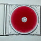Kings Of Leon – Only By The Night (CD, 2008) Australia 88697-32712-2