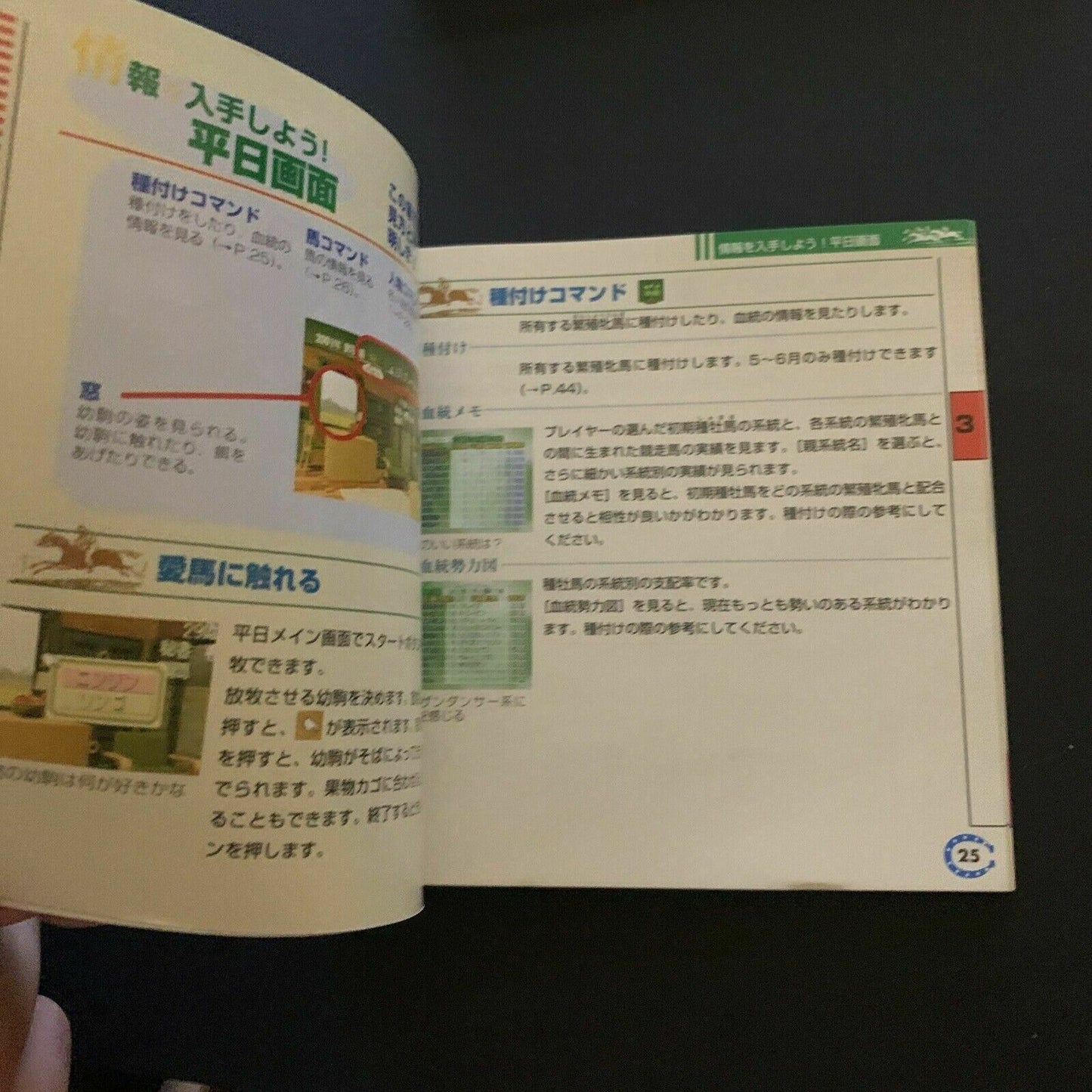 Winning Post 3 - PS1 PlayStation NTSC-J Japan Game