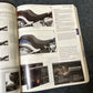 Harley-Davidson 2010 Genuine Motor Accessories & Motor Parts Catalog
