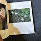 Blooms of the Australian Wilderness by Leo Meier Dennis Hearne 1984 Hardcover