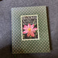Blooms of the Australian Wilderness by Leo Meier Dennis Hearne 1984 Hardcover